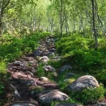 Дом отдыха Lofoten Кабельвог