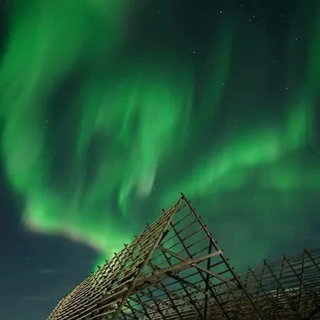 Lofoten Holiday home