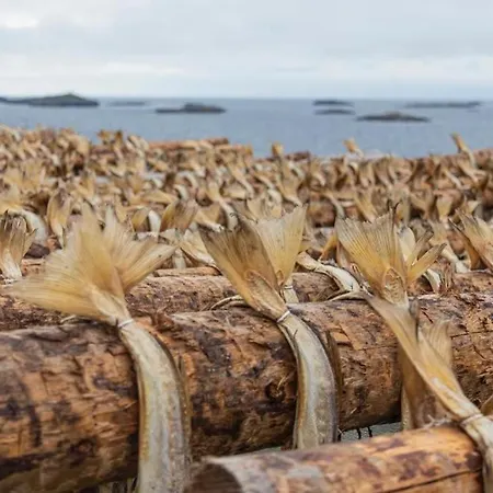 Lofoten Nyaraló Kabelvåg