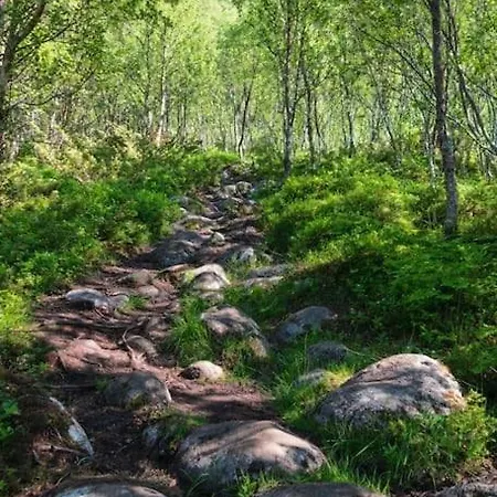 Nyaraló Lofoten Kabelvåg