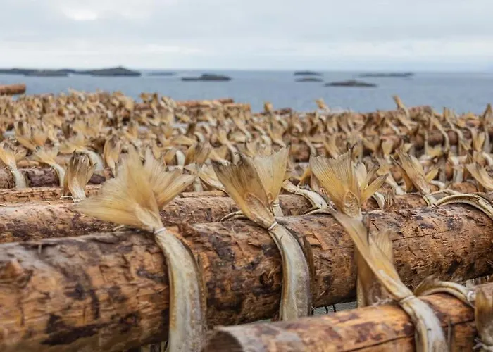 Lofoten Hébergement de vacances Kabelvåg